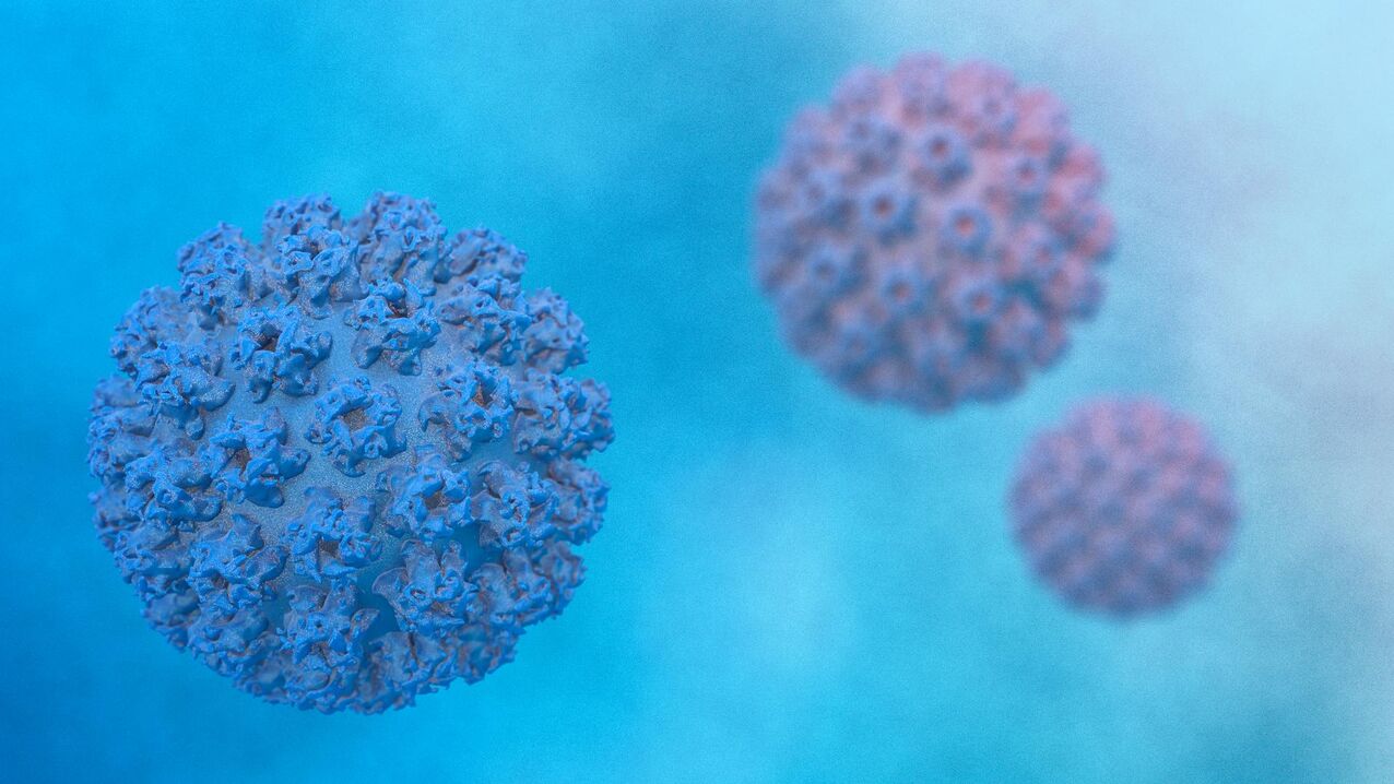 Papilloma virus