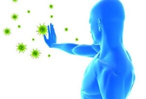 Transmission routes of the human papilloma virus